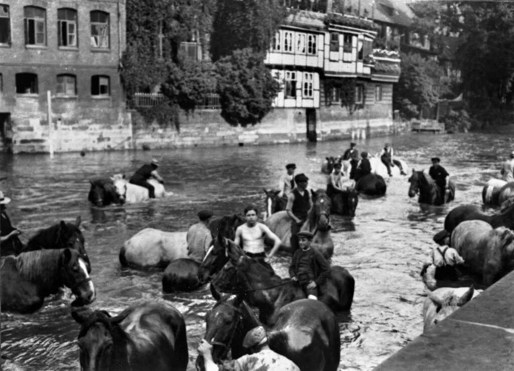 Pferde und Männer in der Leine an der Pferdeschwemme am Hohen Ufer, um 1914